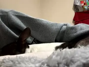 hellokitten123 – webcam model profile photo